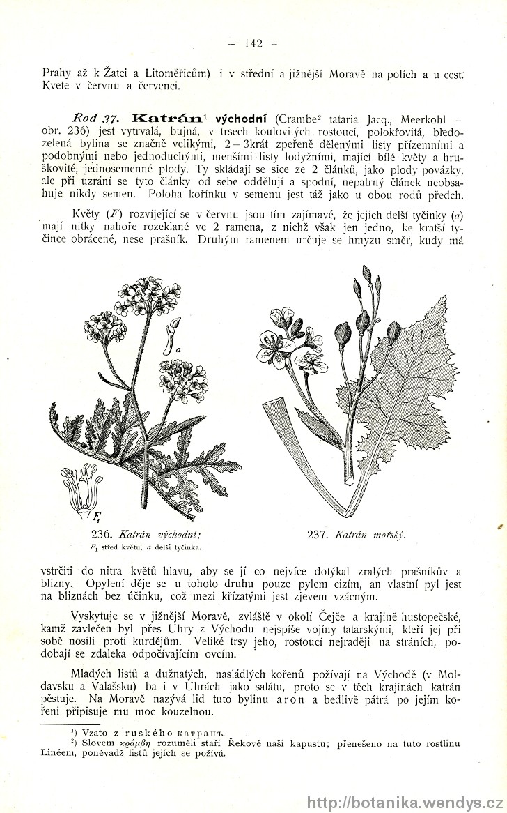Názorná květena zemí koruny české, svazek 2, strana 142