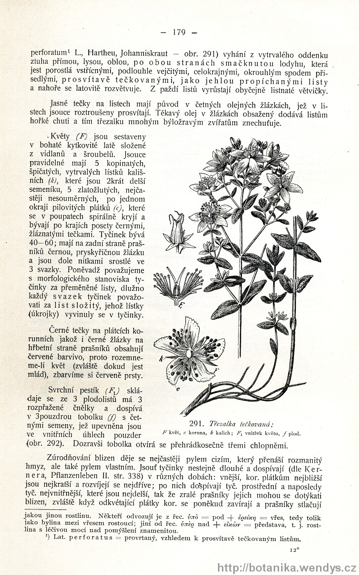 Názorná květena zemí koruny české, svazek 2, strana 179