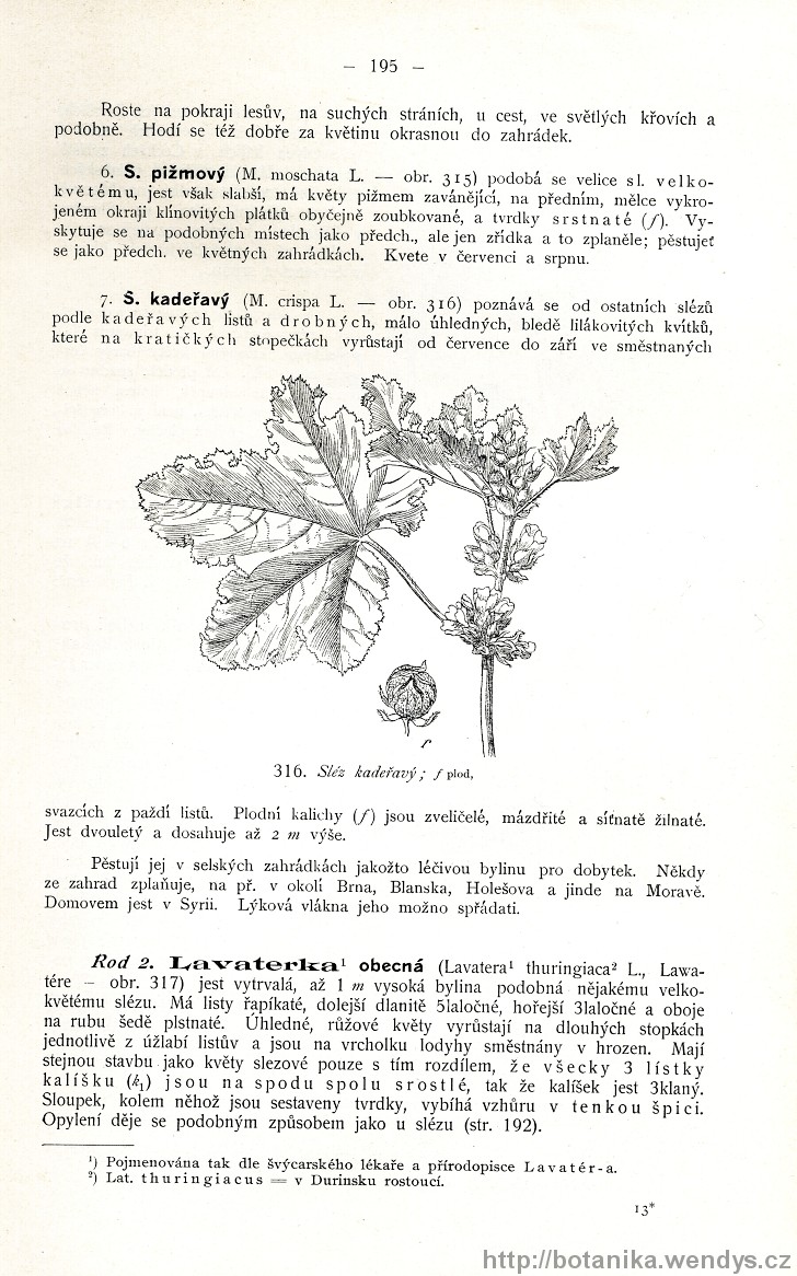 Názorná květena zemí koruny české, svazek 2, strana 195