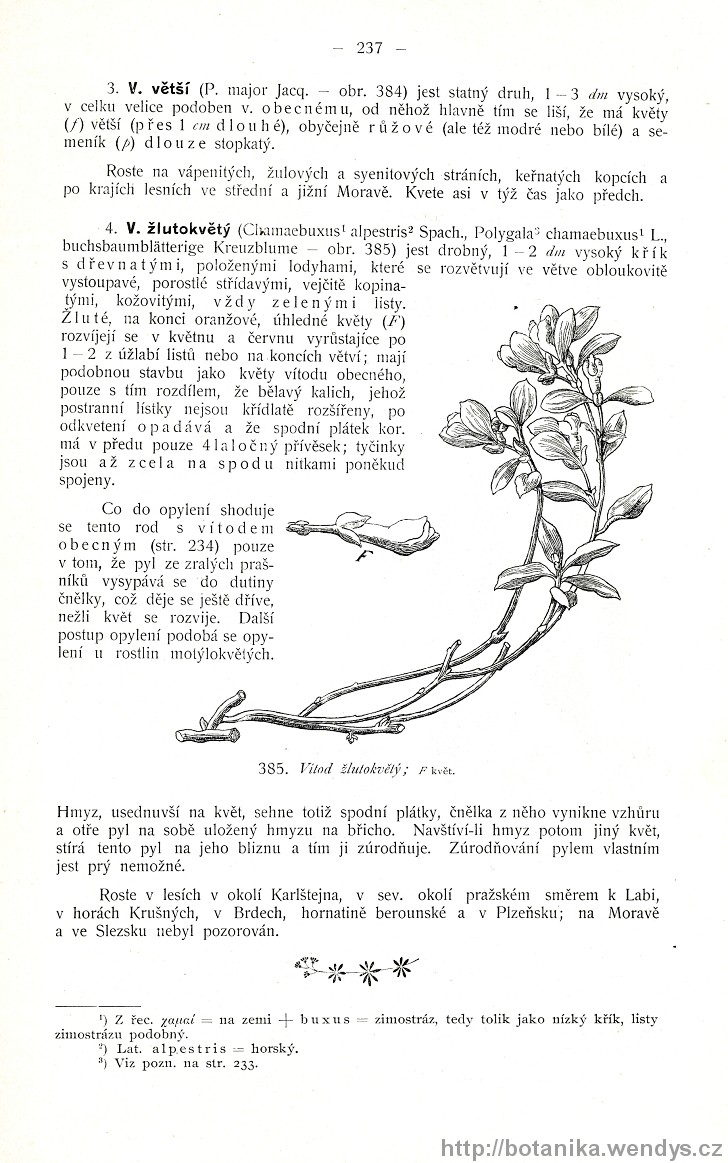 Názorná květena zemí koruny české, svazek 2, strana 237