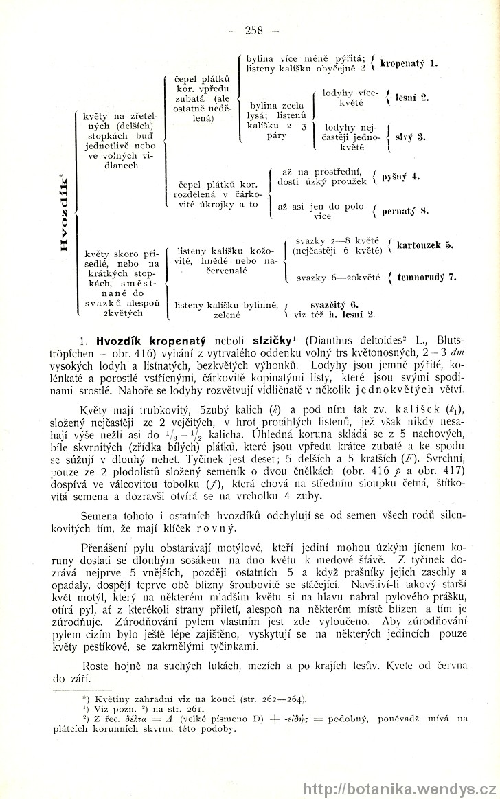 Názorná květena zemí koruny české, svazek 2, strana 258