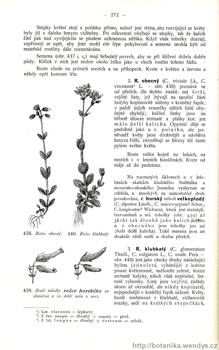 Názorná květena zemí koruny české, svazek 2, strana 272