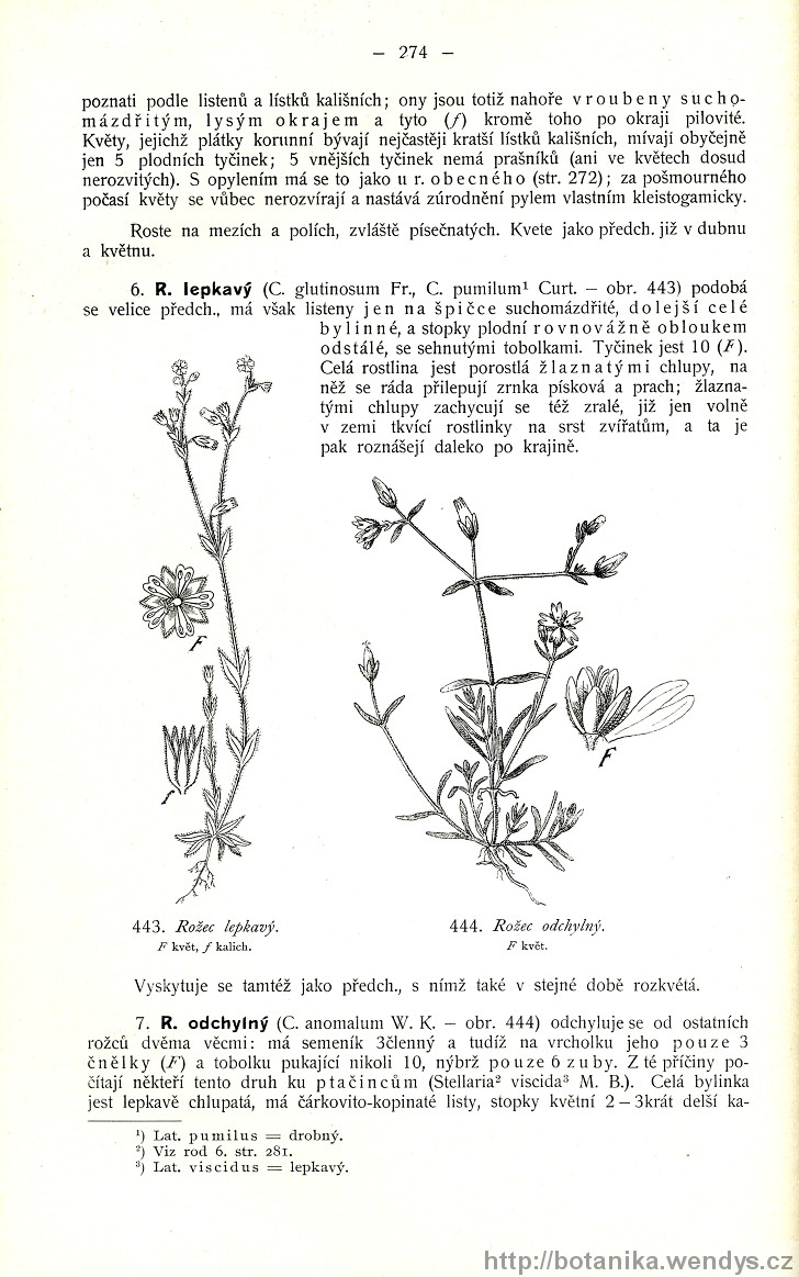 Názorná květena zemí koruny české, svazek 2, strana 274