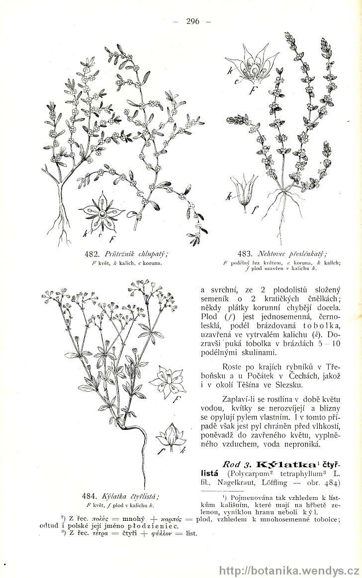 Názorná květena zemí koruny české, svazek 2, strana 296