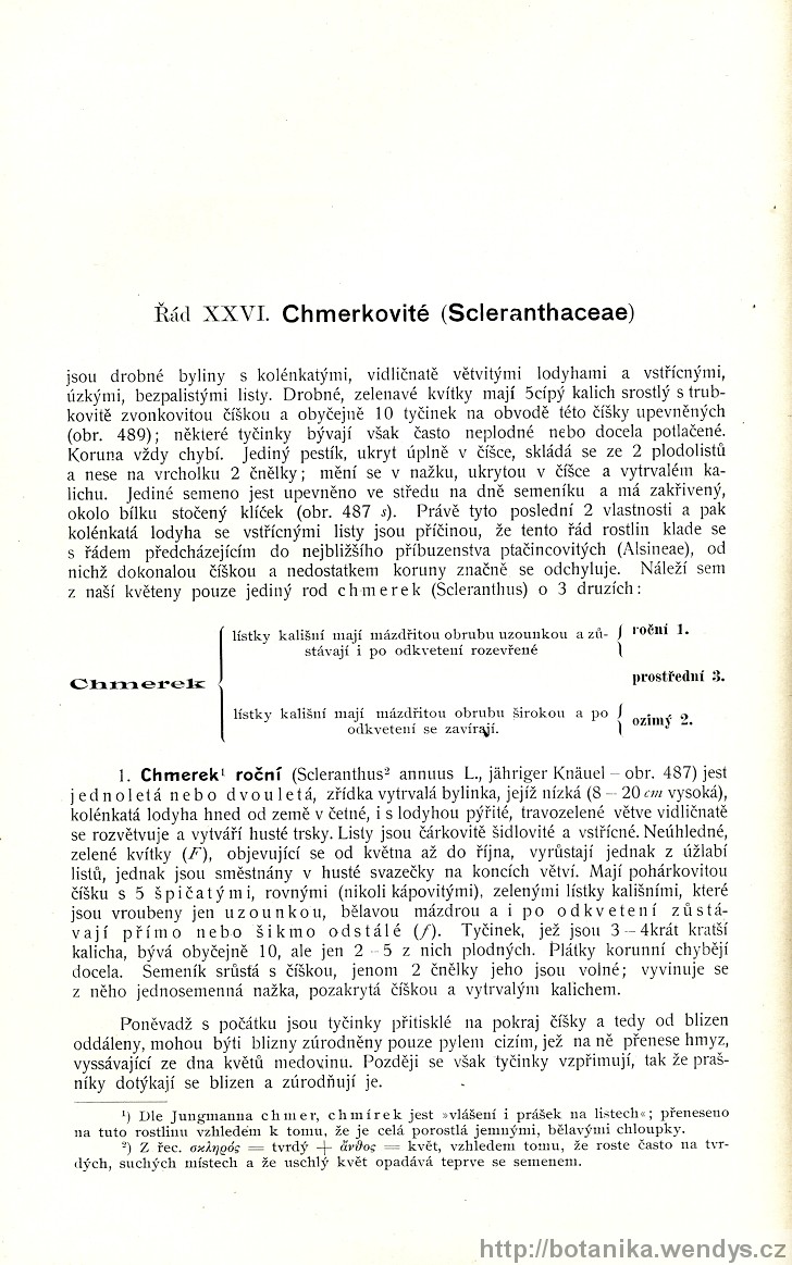 Názorná květena zemí koruny české, svazek 2, strana 298