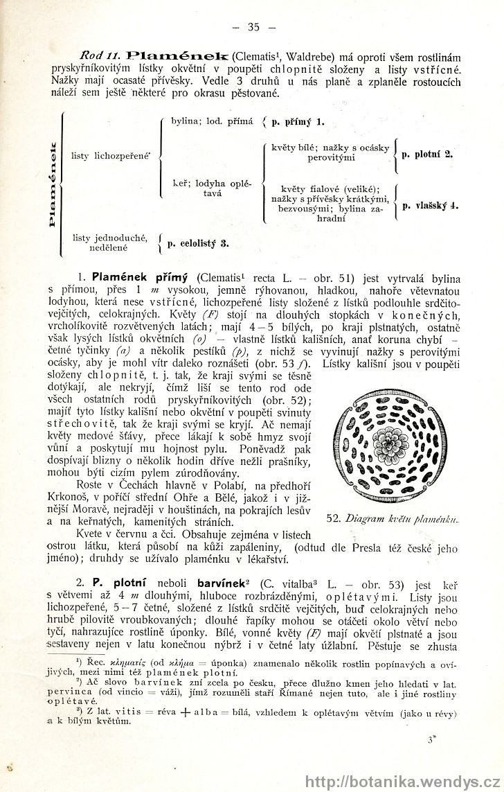 Názorná květena zemí koruny české, svazek 2, strana 35