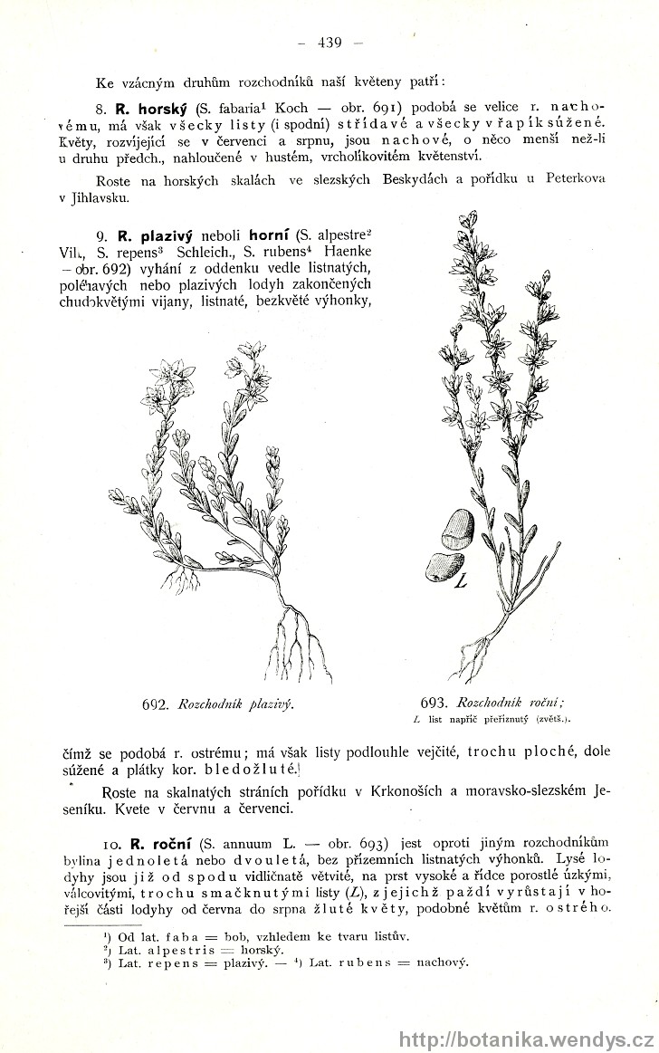 Názorná květena zemí koruny české, svazek 2, strana 439