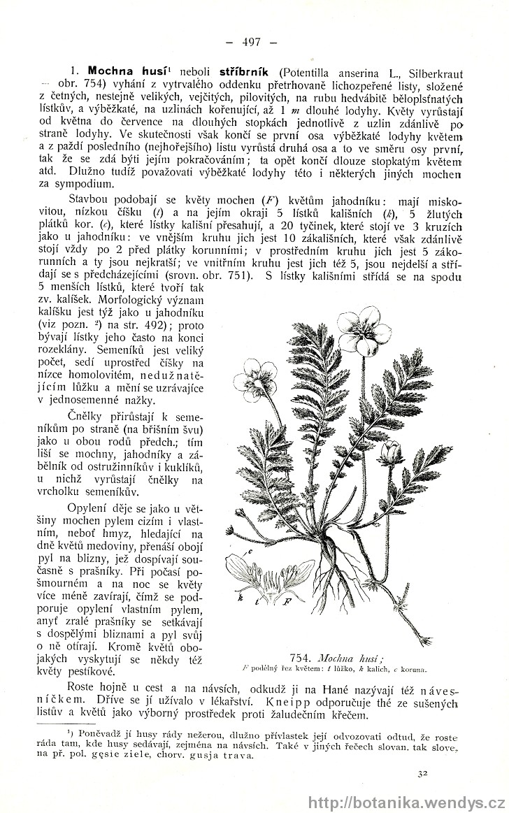 Názorná květena zemí koruny české, svazek 2, strana 497
