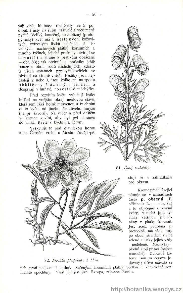 Názorná květena zemí koruny české, svazek 2, strana 50