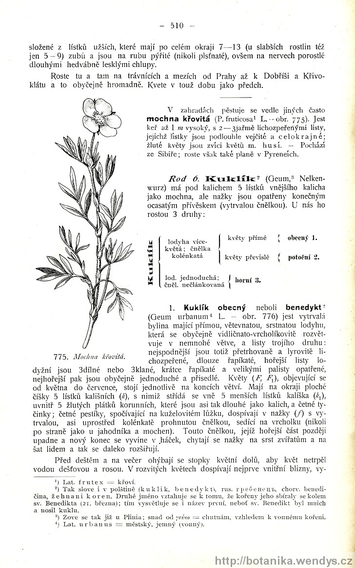 Názorná květena zemí koruny české, svazek 2, strana 510