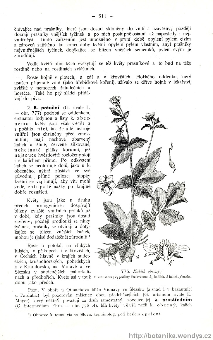 Názorná květena zemí koruny české, svazek 2, strana 511