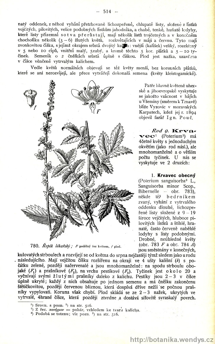 Názorná květena zemí koruny české, svazek 2, strana 514