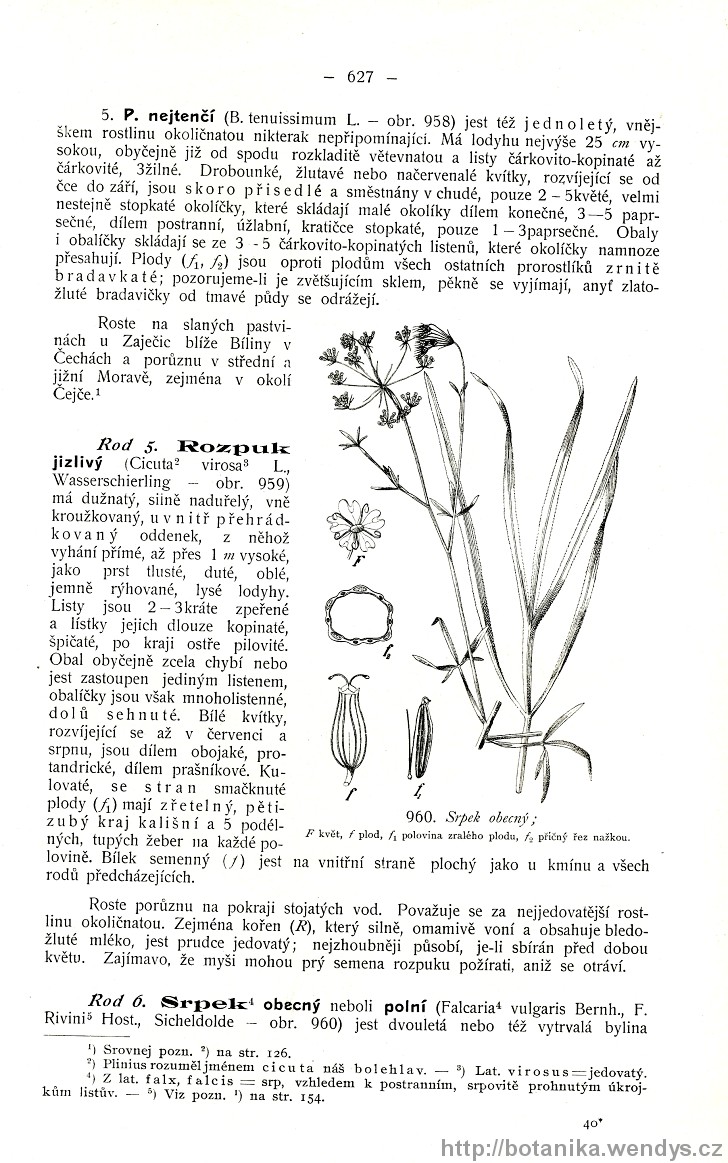 Názorná květena zemí koruny české, svazek 2, strana 627
