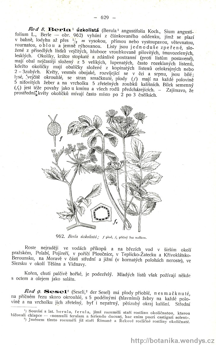 Názorná květena zemí koruny české, svazek 2, strana 629
