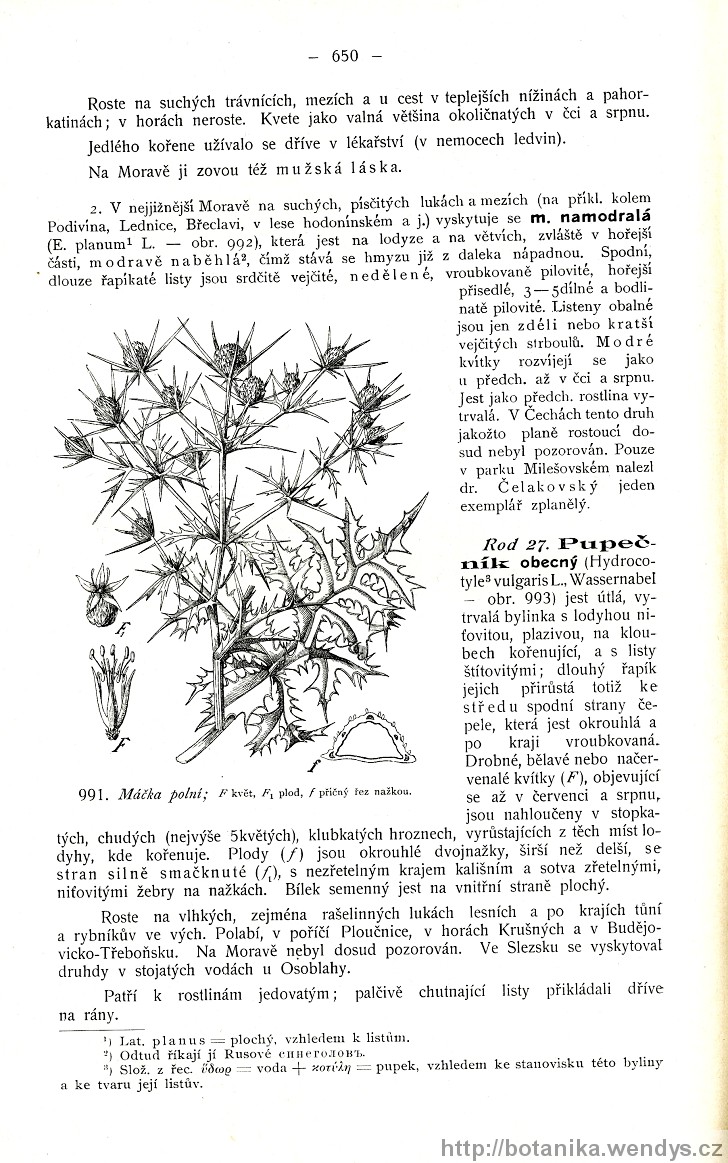 Názorná květena zemí koruny české, svazek 2, strana 650