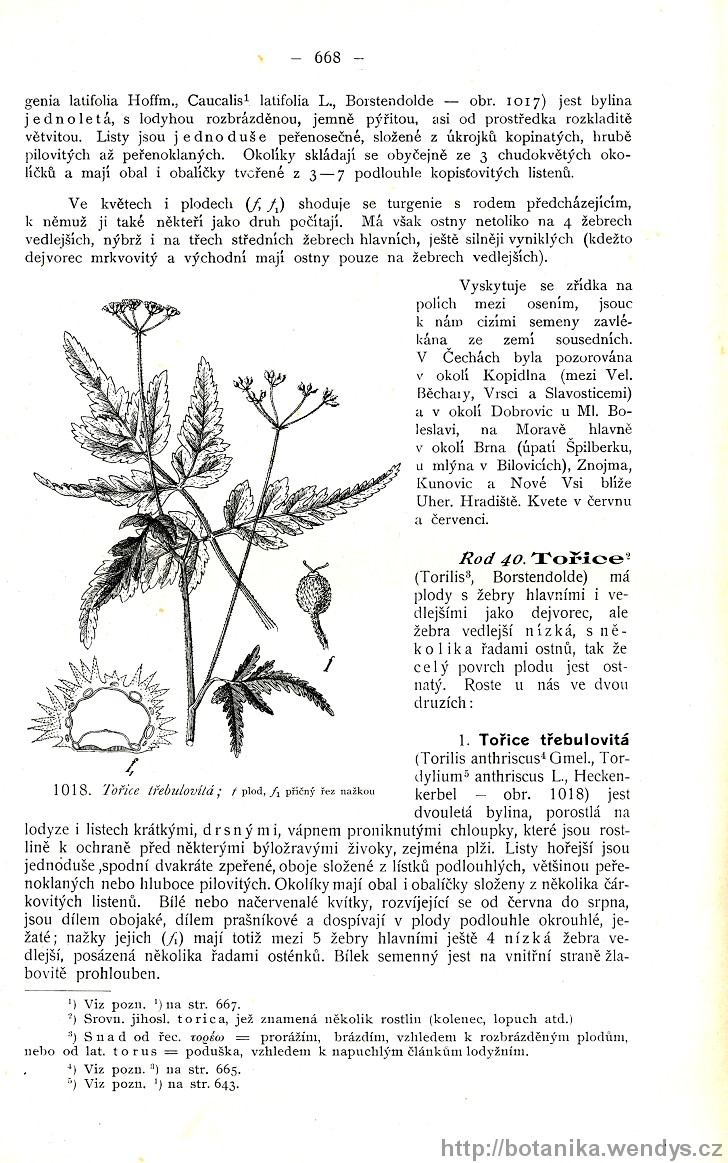 Názorná květena zemí koruny české, svazek 2, strana 668