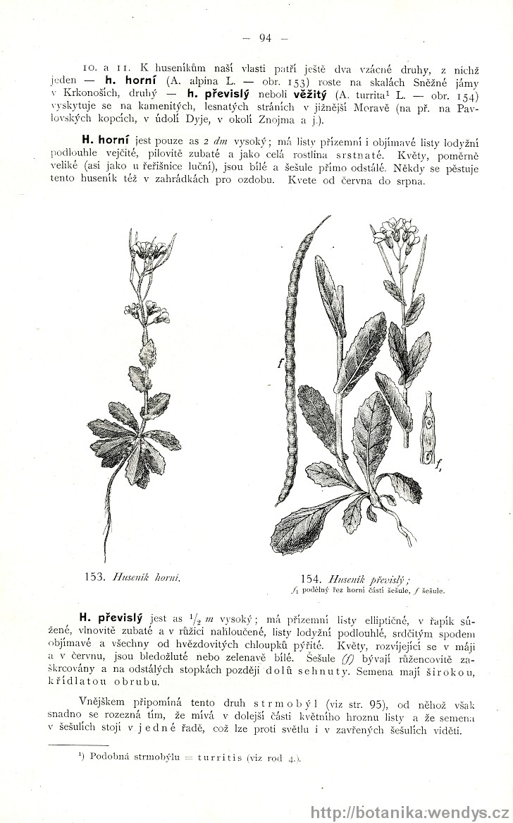 Názorná květena zemí koruny české, svazek 2, strana 94
