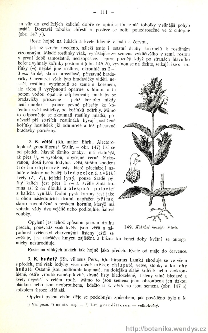 Názorná květena zemí koruny české, svazek 3, strana 111