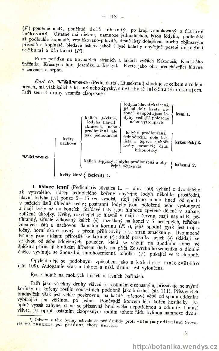 Názorná květena zemí koruny české, svazek 3, strana 113