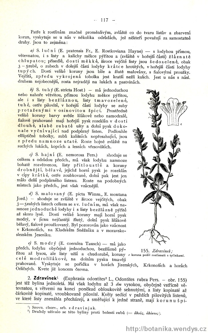 Názorná květena zemí koruny české, svazek 3, strana 117
