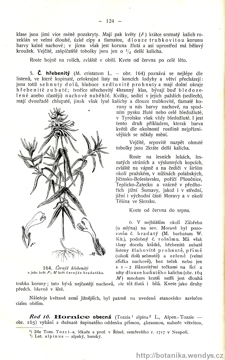 Názorná květena zemí koruny české, svazek 3, strana 124