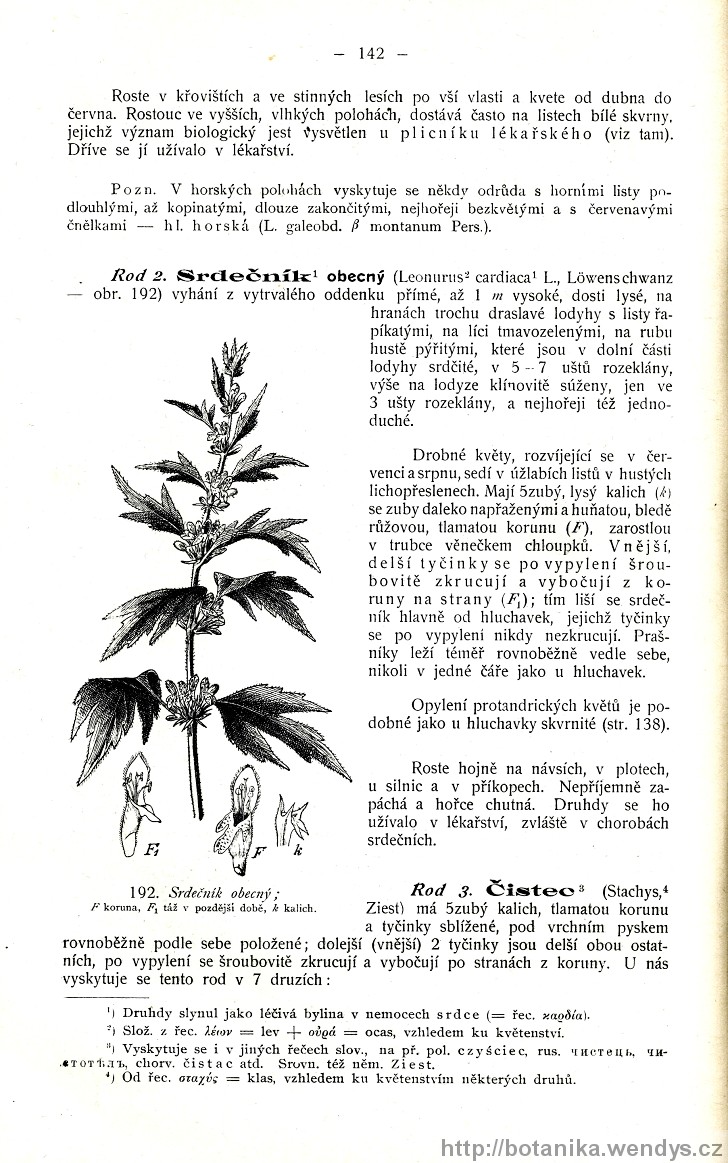 Názorná květena zemí koruny české, svazek 3, strana 142