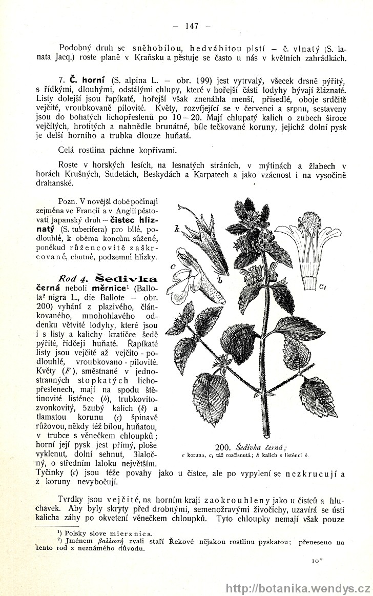Názorná květena zemí koruny české, svazek 3, strana 147