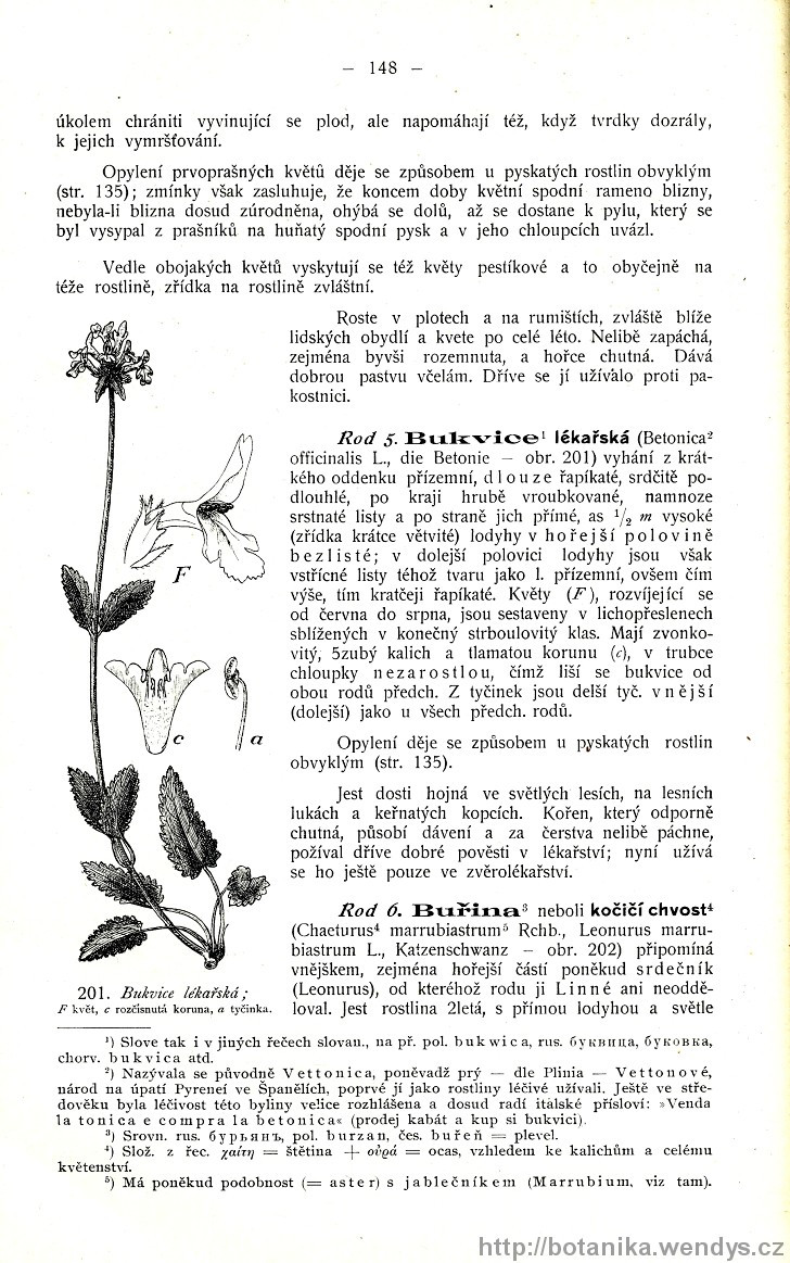 Názorná květena zemí koruny české, svazek 3, strana 148