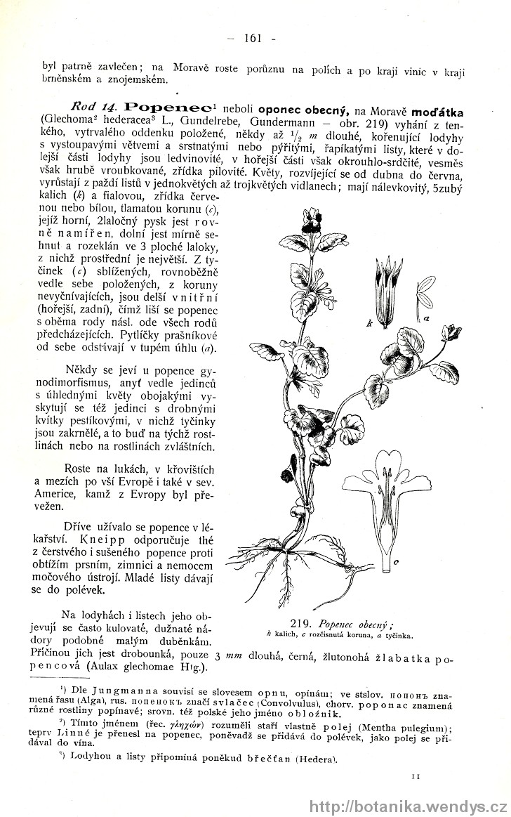 Názorná květena zemí koruny české, svazek 3, strana 161