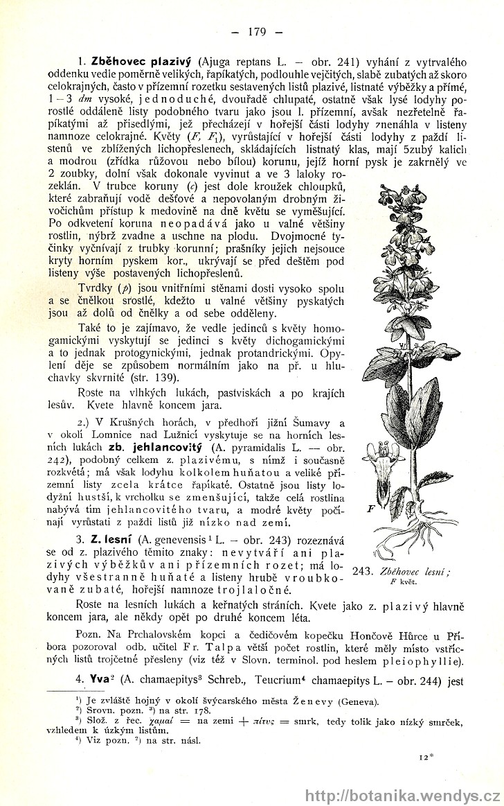 Názorná květena zemí koruny české, svazek 3, strana 179