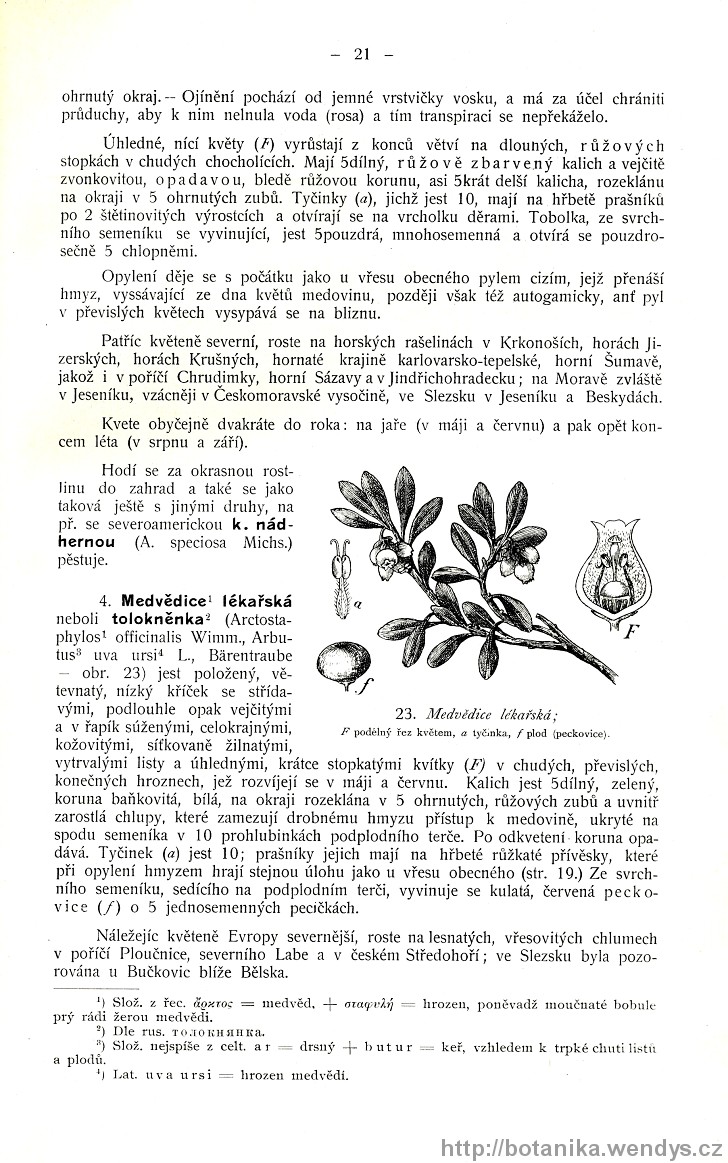 Názorná květena zemí koruny české, svazek 3, strana 21