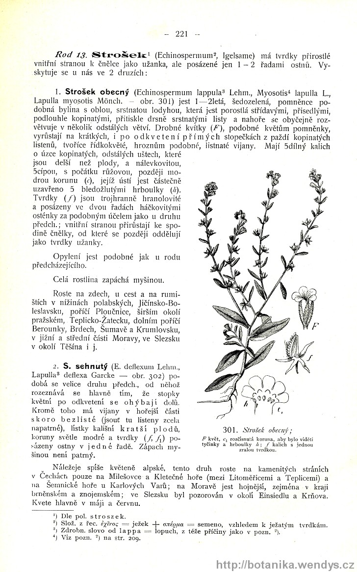 Názorná květena zemí koruny české, svazek 3, strana 221