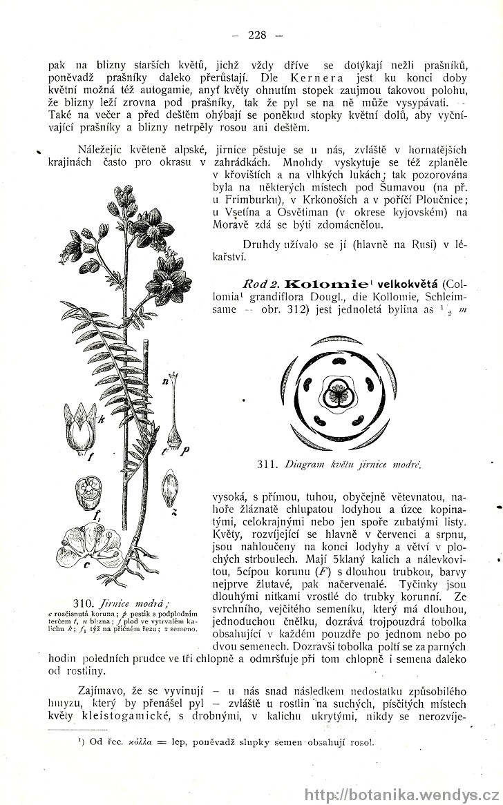 Názorná květena zemí koruny české, svazek 3, strana 228