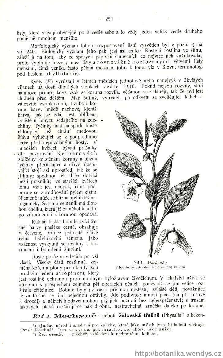 Názorná květena zemí koruny české, svazek 3, strana 251