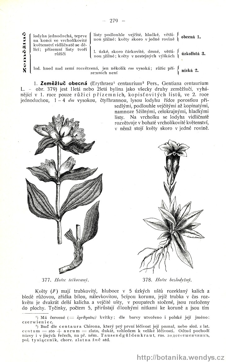 Názorná květena zemí koruny české, svazek 3, strana 279