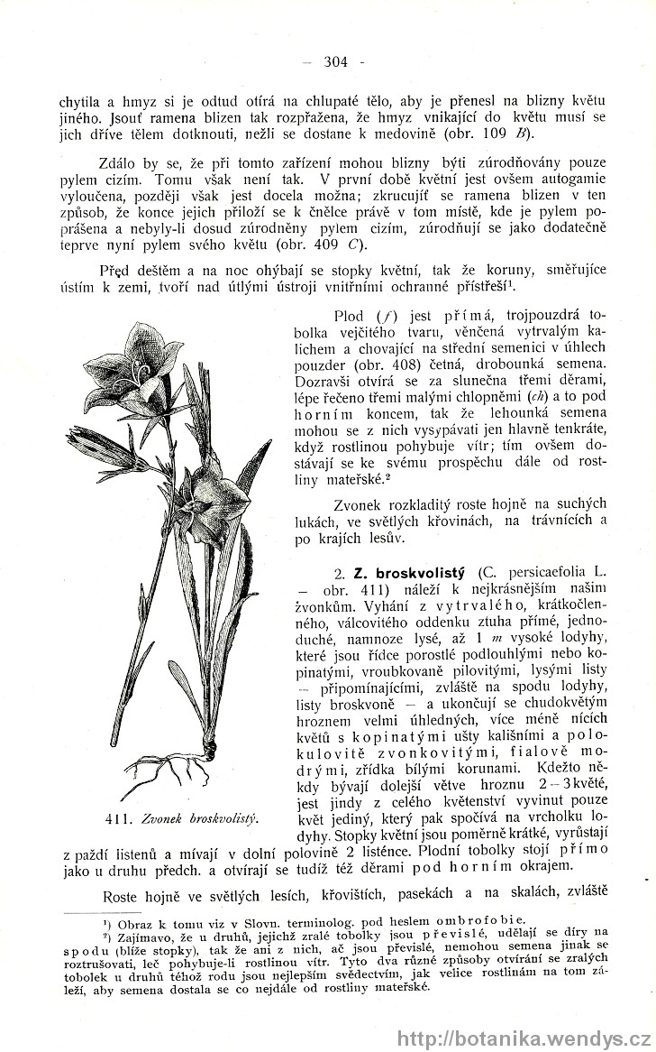 Názorná květena zemí koruny české, svazek 3, strana 304