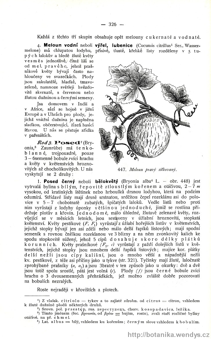 Názorná květena zemí koruny české, svazek 3, strana 326
