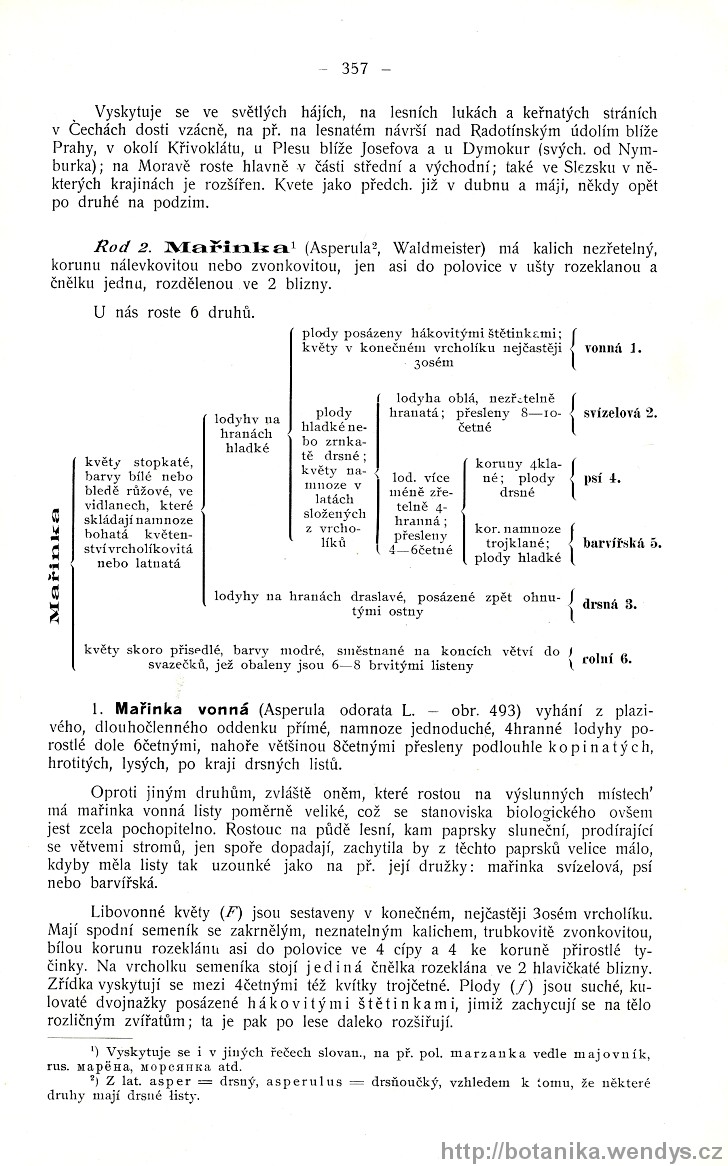 Názorná květena zemí koruny české, svazek 3, strana 357