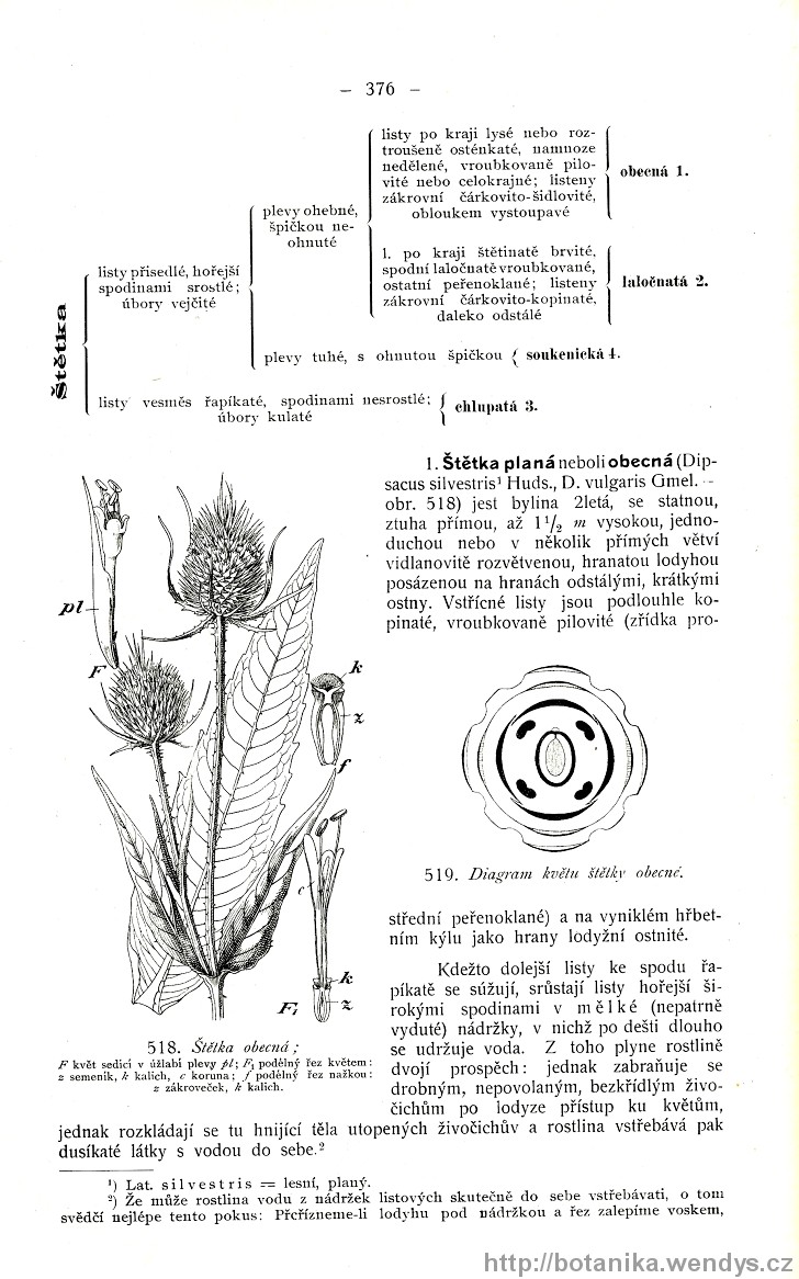 Názorná květena zemí koruny české, svazek 3, strana 376