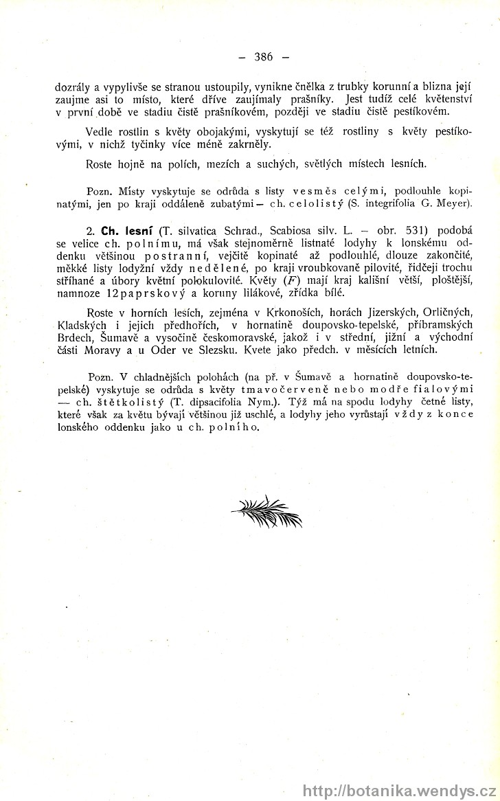 Názorná květena zemí koruny české, svazek 3, strana 386