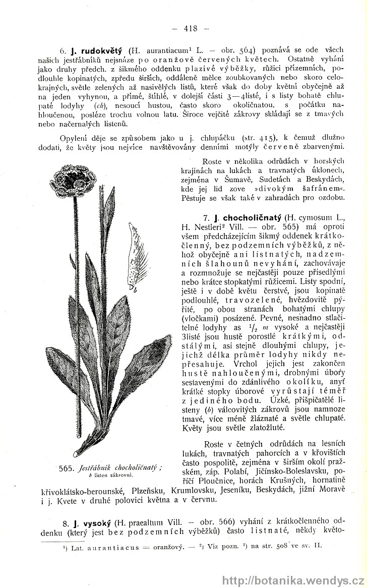 Názorná květena zemí koruny české, svazek 3, strana 418