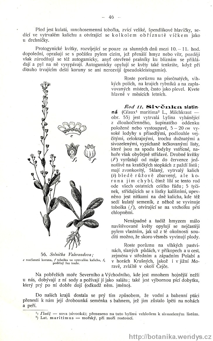 Názorná květena zemí koruny české, svazek 3, strana 46