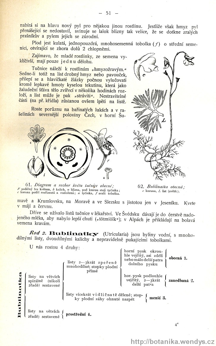 Názorná květena zemí koruny české, svazek 3, strana 51
