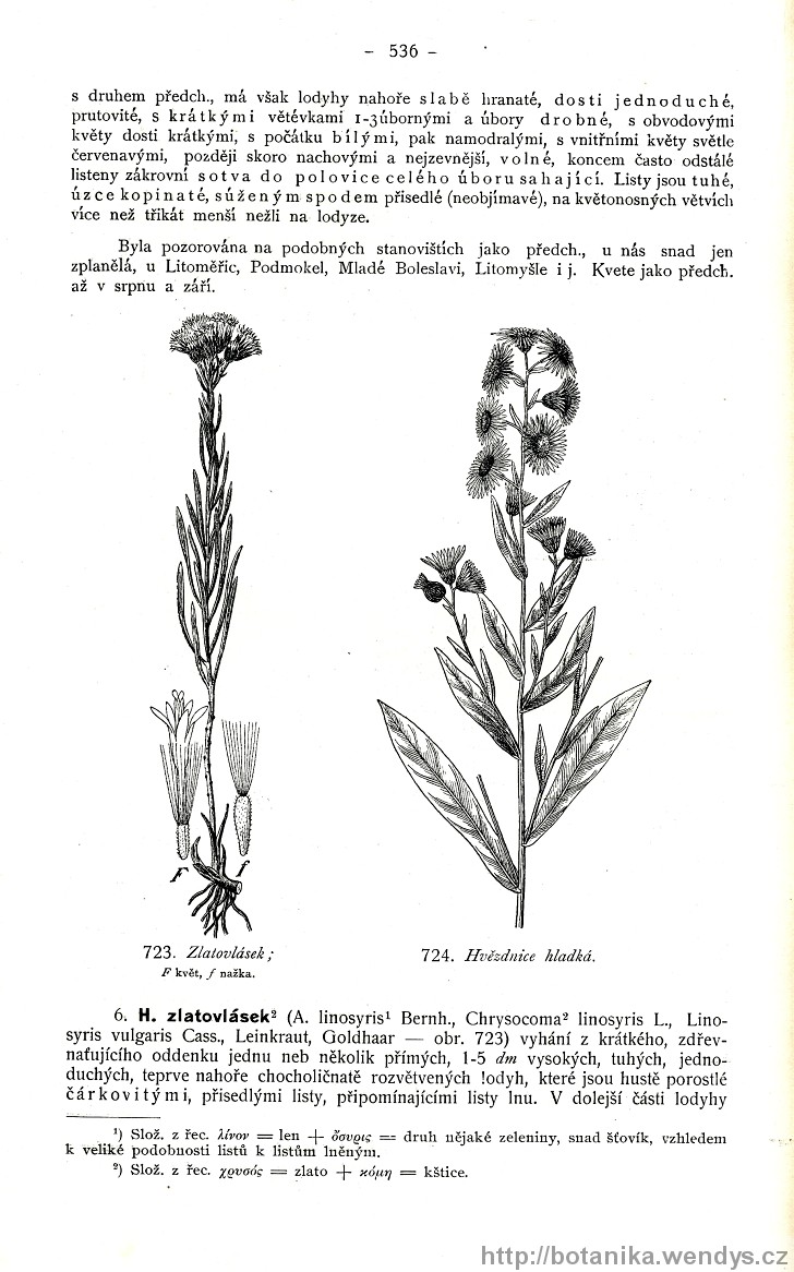 Názorná květena zemí koruny české, svazek 3, strana 536