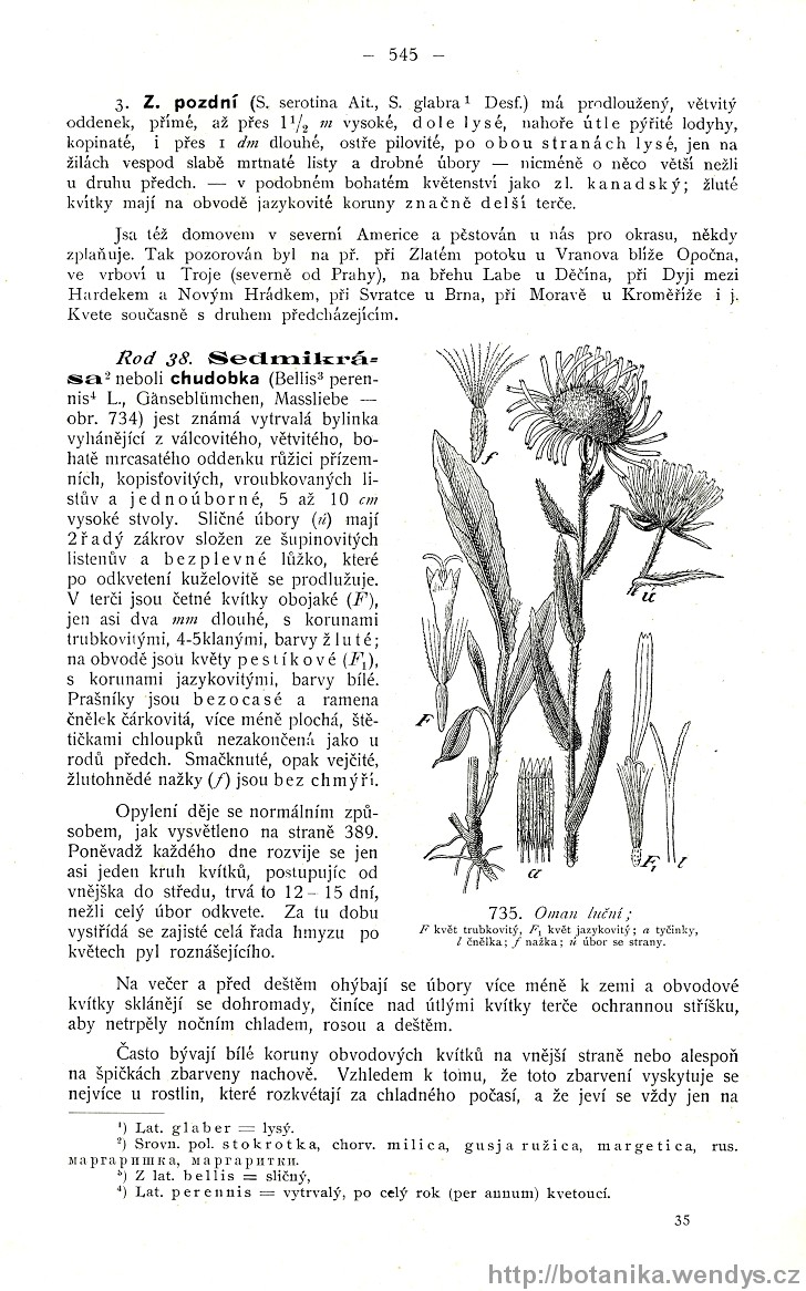 Názorná květena zemí koruny české, svazek 3, strana 545