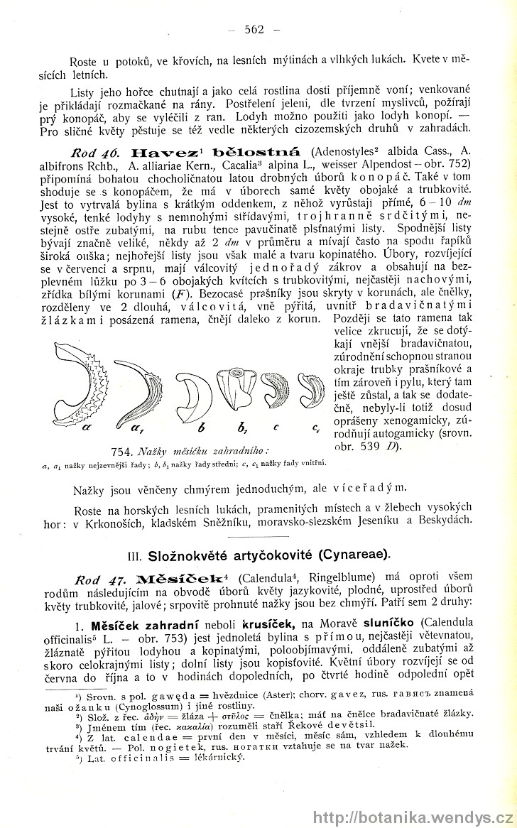 Názorná květena zemí koruny české, svazek 3, strana 562