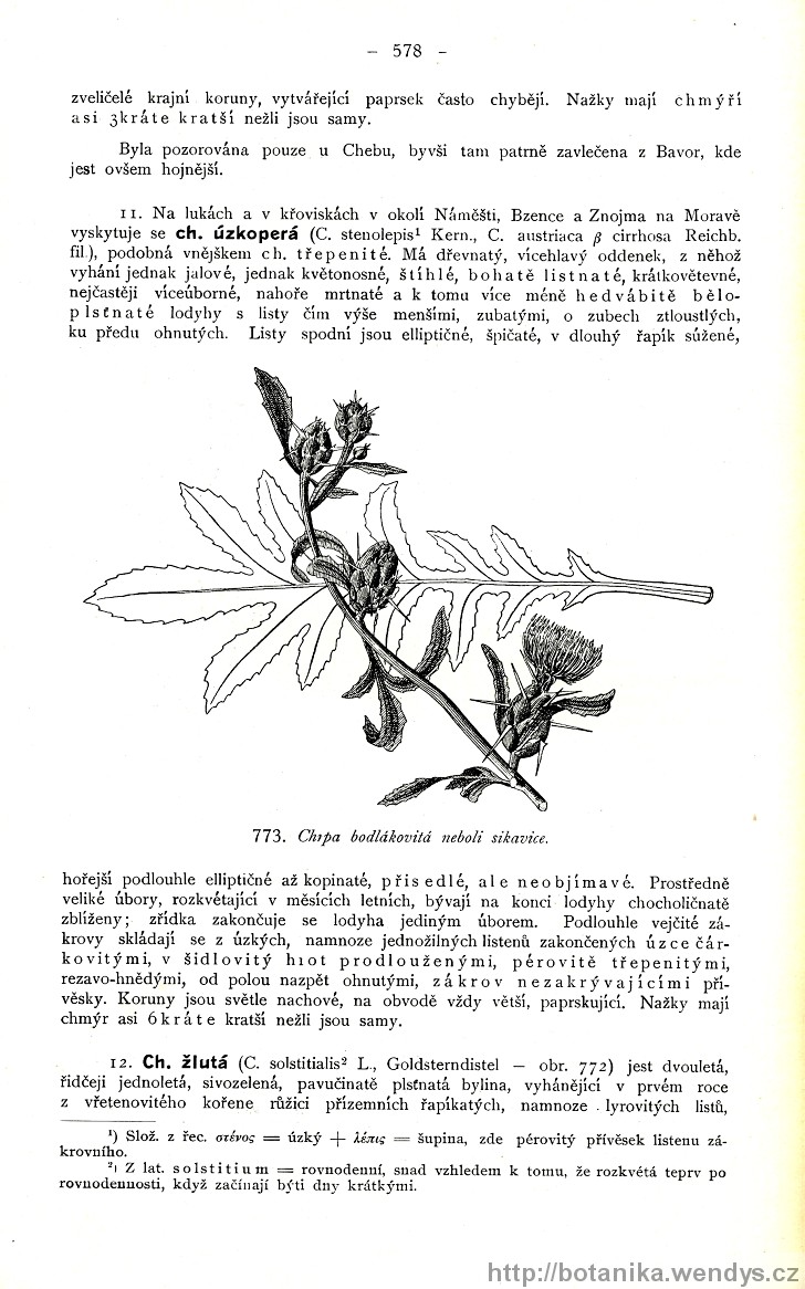 Názorná květena zemí koruny české, svazek 3, strana 578