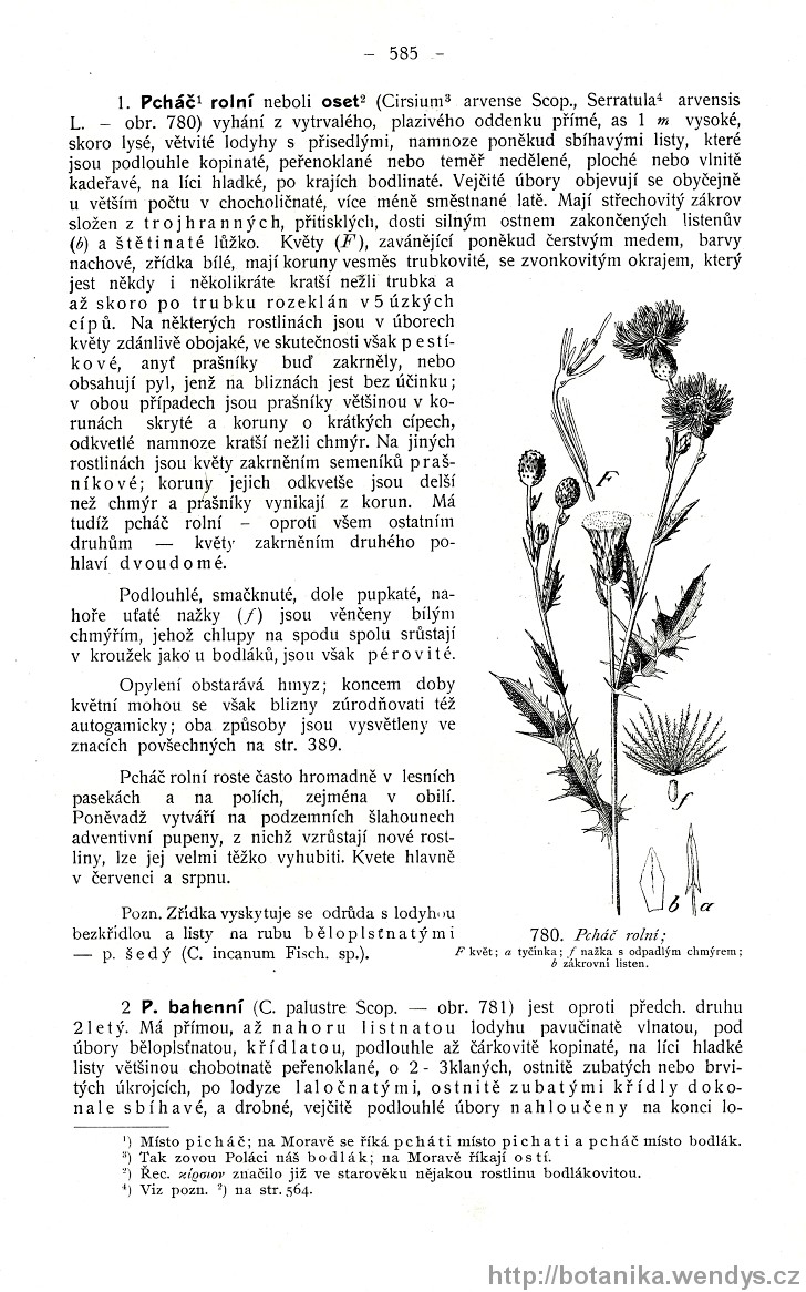 Názorná květena zemí koruny české, svazek 3, strana 585