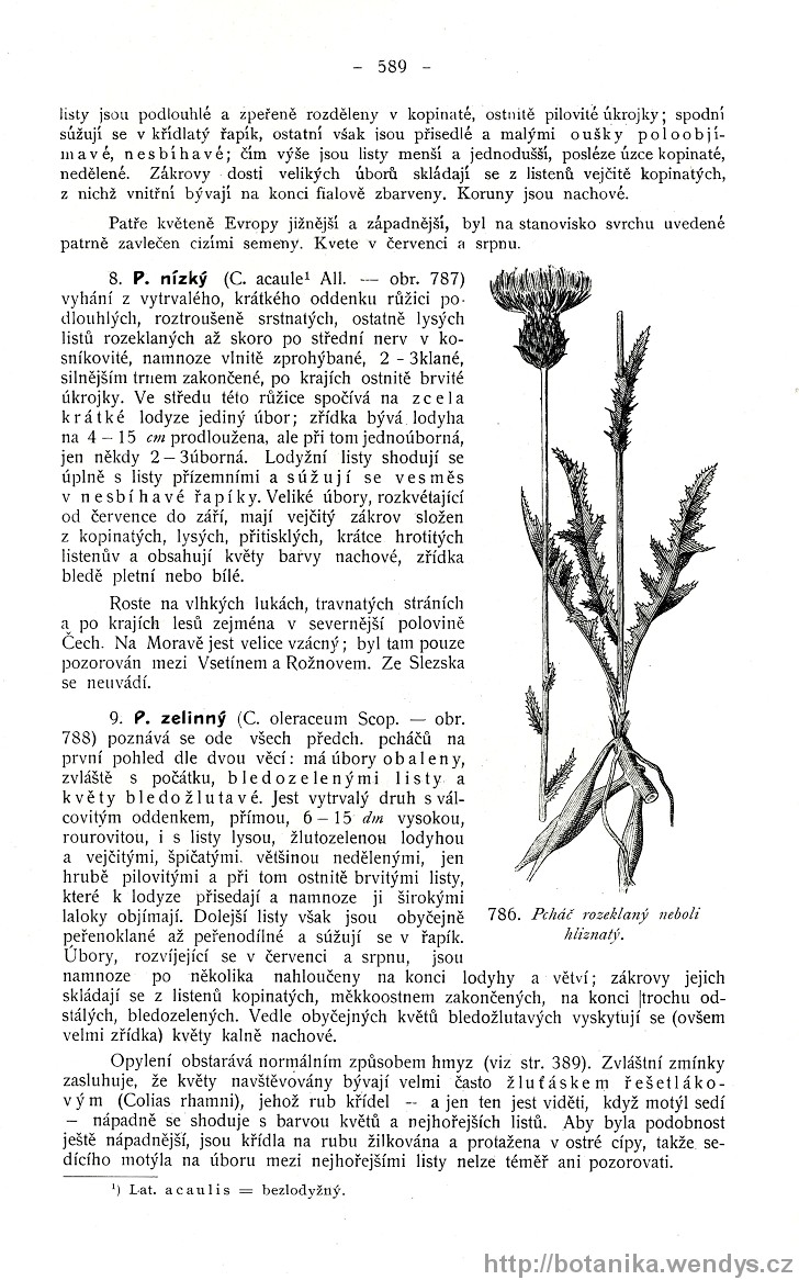 Názorná květena zemí koruny české, svazek 3, strana 589