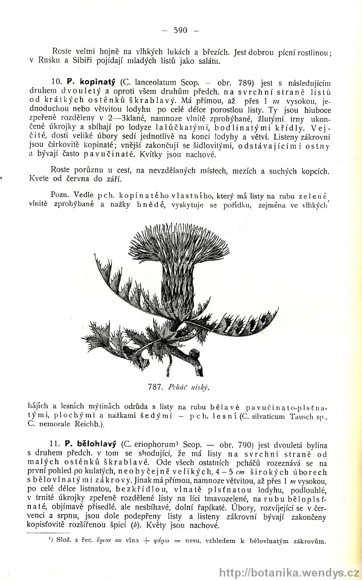 Názorná květena zemí koruny české, svazek 3, strana 590